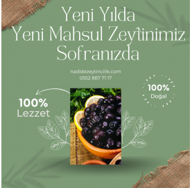 Nadide Zeytin 1-Yeni Mahsul
